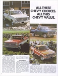 1976 Chevy Pickups-02